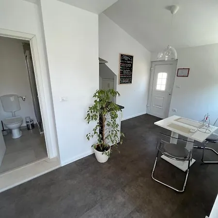 Apartment Mozgan *