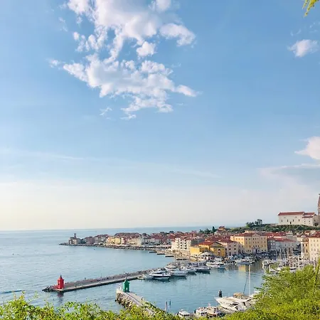 Mozgan Piran